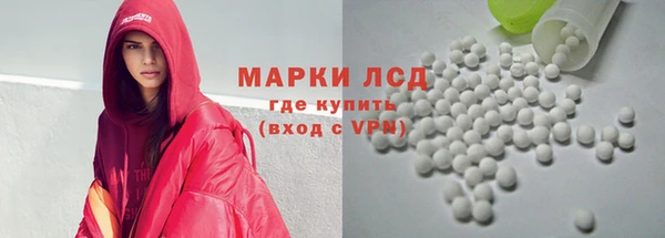 прущие грибы Медвежьегорск