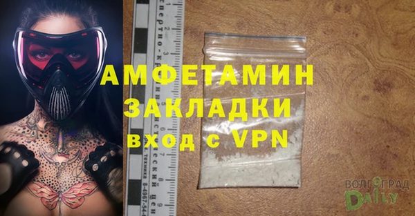 прущие грибы Медвежьегорск