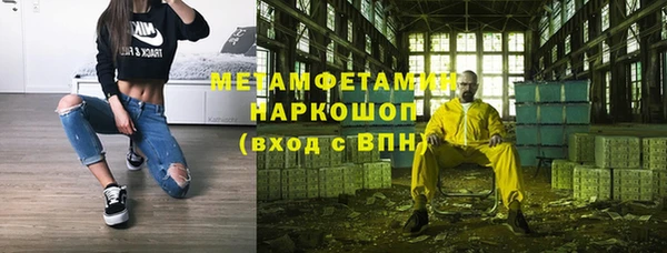прущие грибы Медвежьегорск
