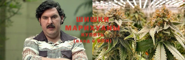 прущие грибы Медвежьегорск