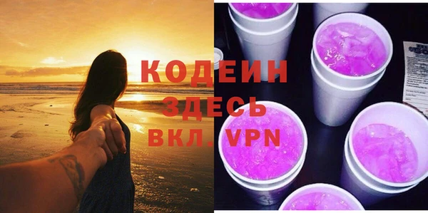 прущие грибы Медвежьегорск